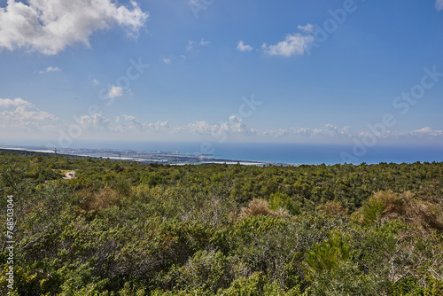 Fototapeta Naklejka Na Ścianę i Meble -  Breathtaking Mediterranean Sea view from hilltop in Israel with blue water and green vegetation