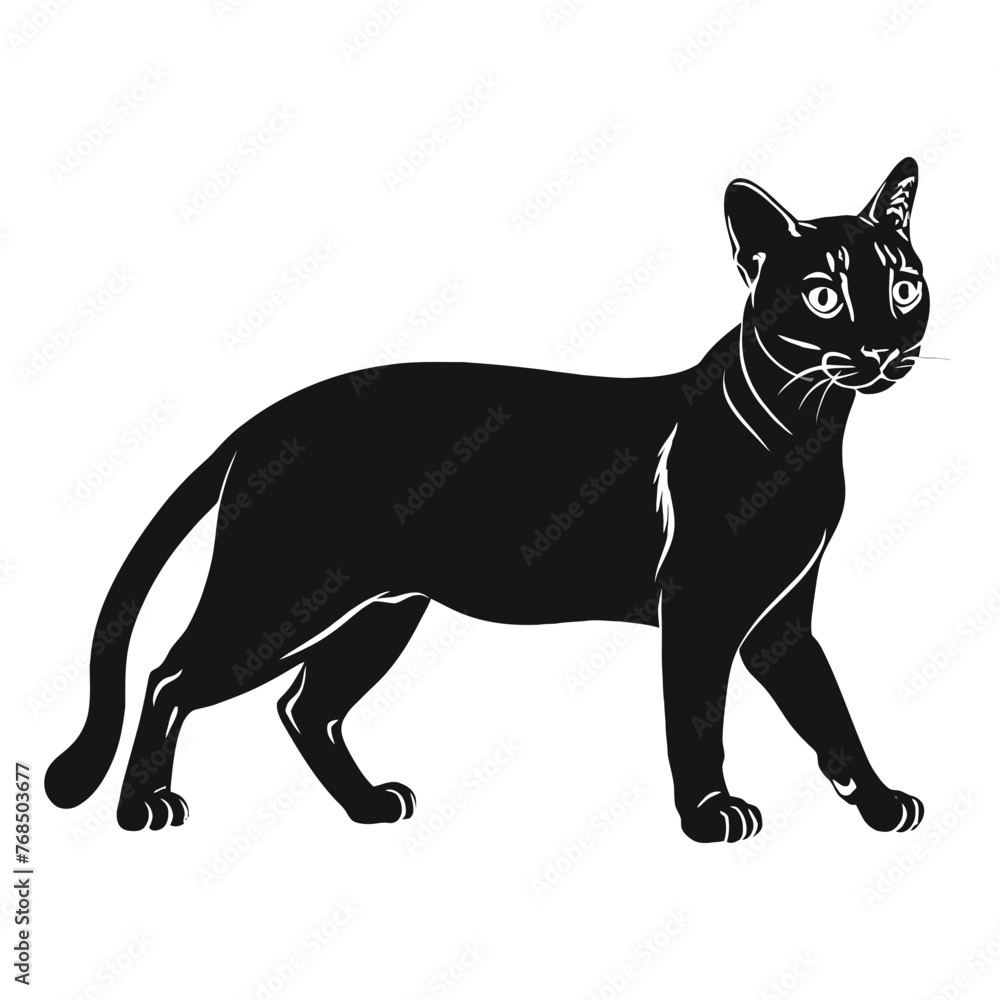 Obraz premium Bengal Silhouette