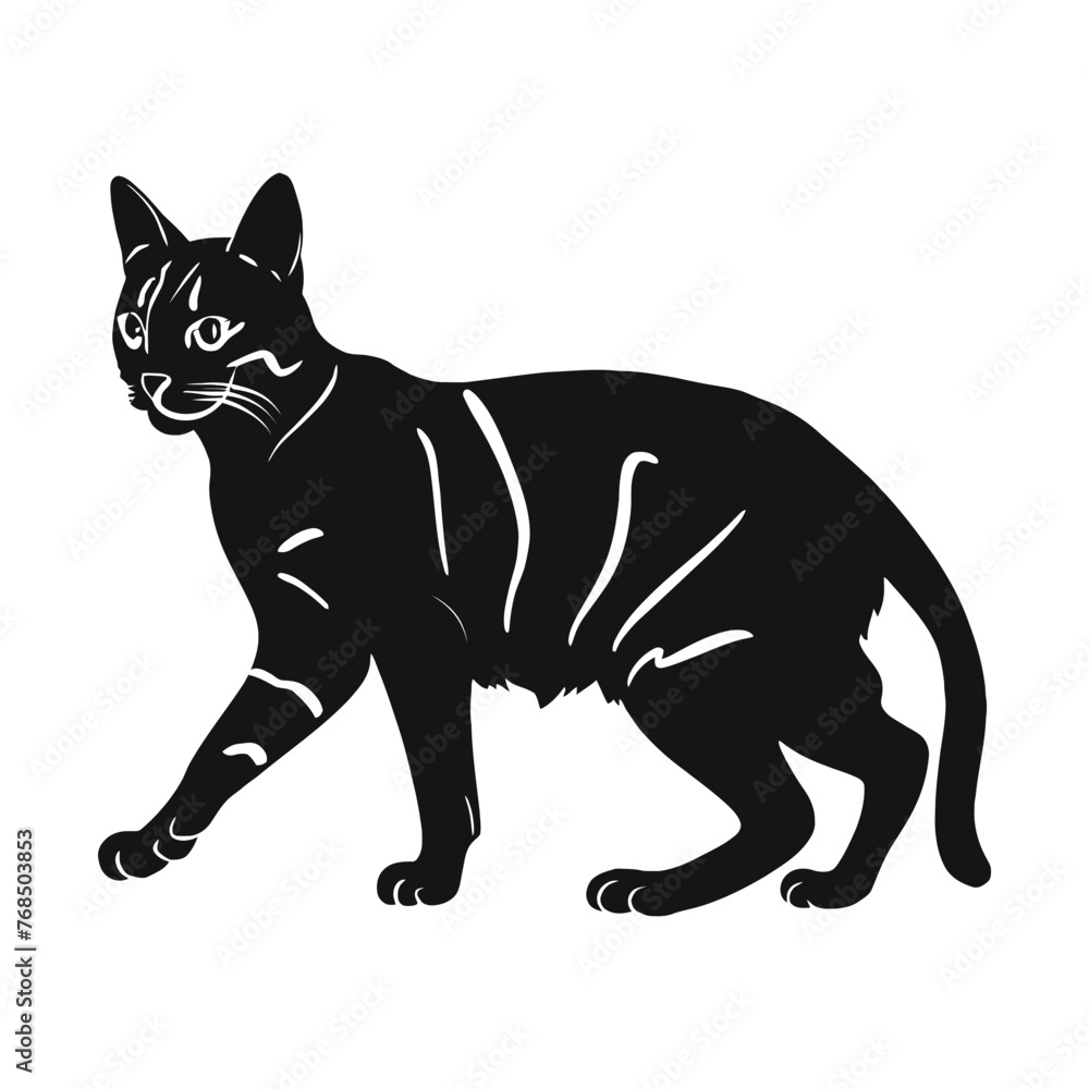 Obraz premium Bengal Silhouette