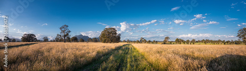 Rural Victoria Australia. Grampians mountains in background. Eucalyptuss trees long grass and farm track