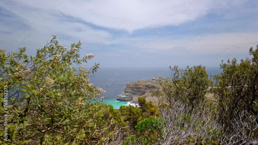 Panoramic landscape of Cape Point Nature Reserve South African Sea coasline static shot of trees moving with the wind in african Beach cliff Panoramic landscape of Cape Point Nature Reserve South African Sea coasline static shot of trees moving with the wind in african Beach cliff