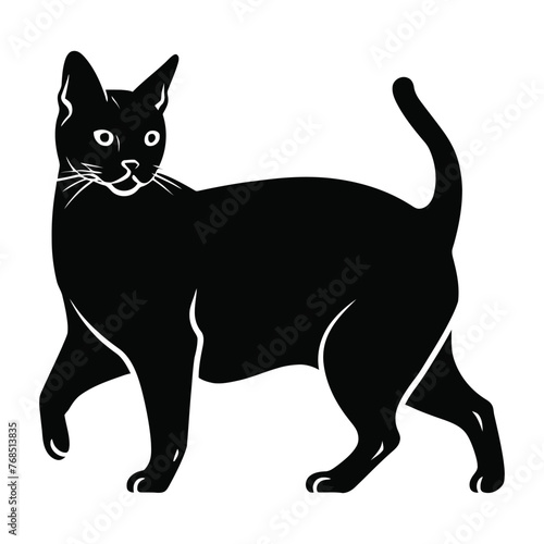 Burmese Silhouette