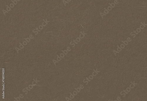 Seamless Japanese Rice Paper Texture for the Background. Quincy, Judge Grey, Pine Cone, Domino Color. photo
