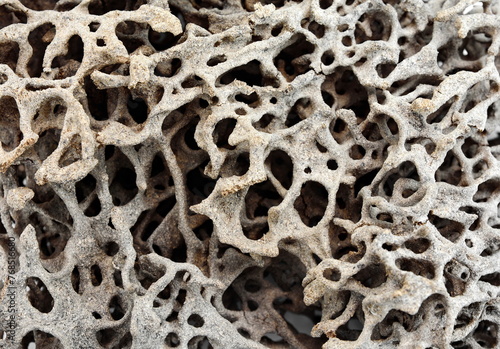 Ant's nest. anthill. Walkway of Termite, Termite nest, home of Termite on white background