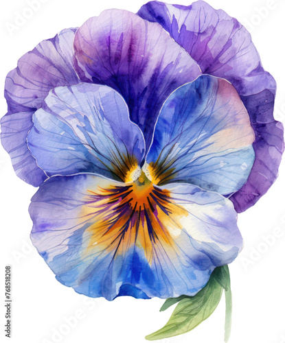 Pansy flower watercolor isolate illustration vector.