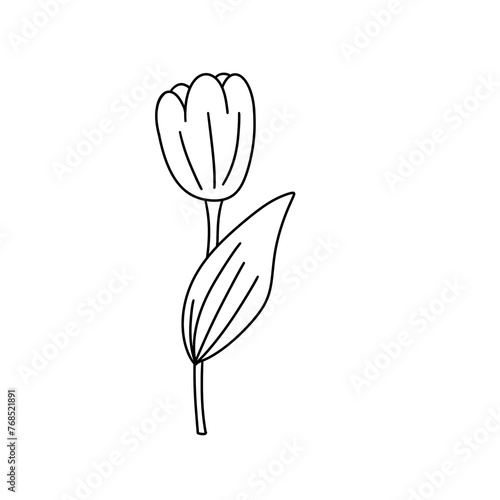 A flower with a stem and a leaf. The leaf is also thin and is attached to the stem