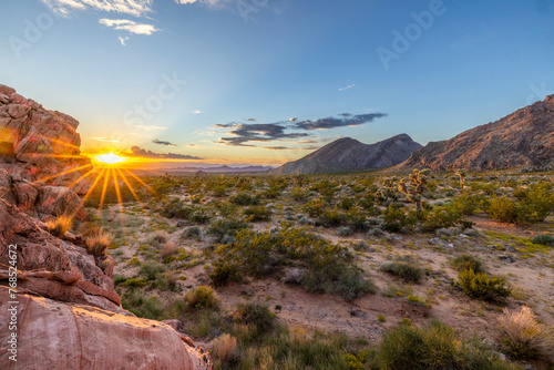 Sun setting over the desert