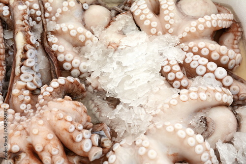Freshly caught octopus vulgaris in a box with ice at the greek fish shop.
