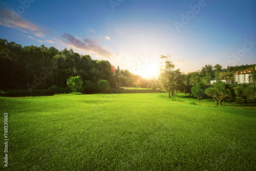Beautiful green meadow landscape during sunrise.