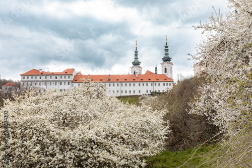 Strahov Monastery (Czech: Strahovsky klaster) is a Premonstratensian abbey founded in 1143, Central Bohemia, Czech Republic photo