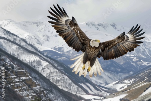 eagle with impressive wingspan above snowy mountain valley photo