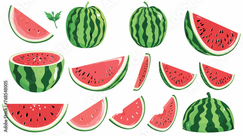 Fototapeta Naklejka Na Ścianę i Meble -  Watermelon Collection Vector Illustration flat vector