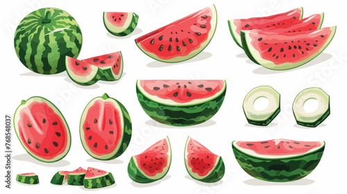 Fototapeta Naklejka Na Ścianę i Meble -  Watermelon Collection Vector Illustration flat vector