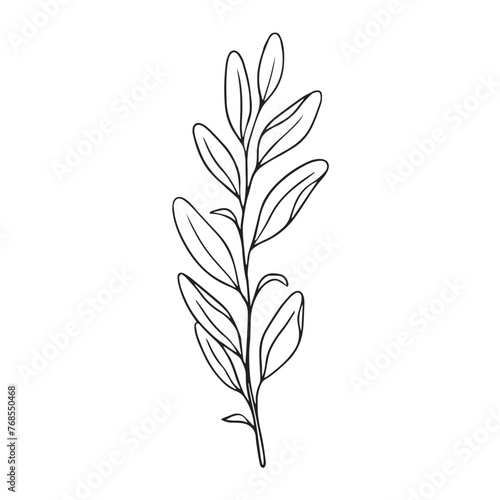 Vector hand drawn floral style on white background