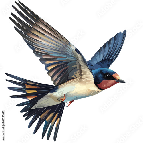 Swallow Clipart isolated on white background