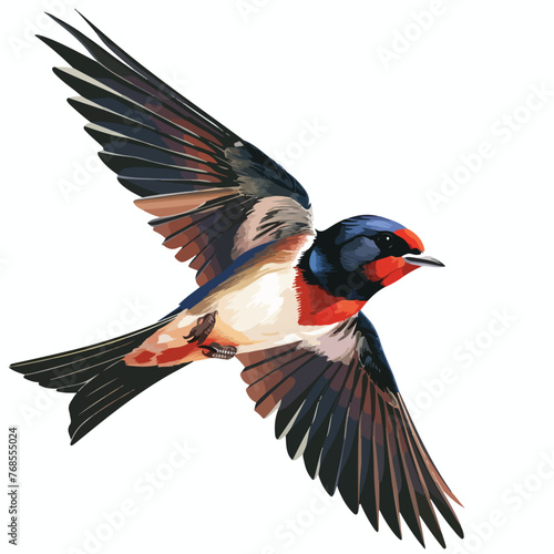 Swallow Clipart clipart isolated on white background