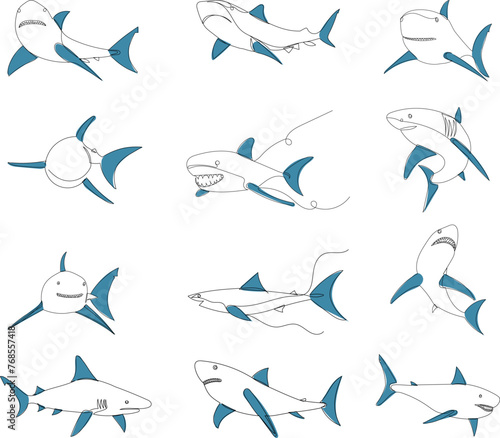 sharks set line drawing sketch, on white background vector