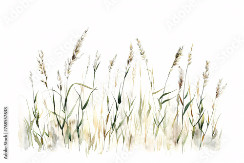 Wispy grasses painted in watercolor blending into a white base