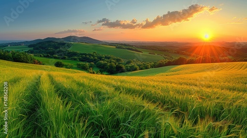 Breathtaking sunset over agricultural landscape