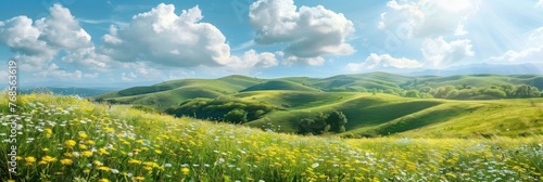 Green meadow landscape during springtime with young green grass and wild flowers. Spring and summer background.