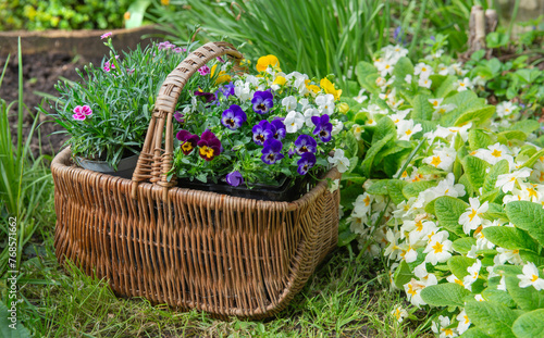 wicker basket filled with pretty flowers laid  in the grass in a garden next ...