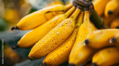 banana fruit for sale in street market