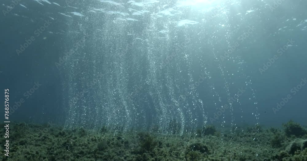 A curtain of air bubbles emerges from the reef. Fix plan. The bubbles come from divers swimming in an underwater cavern. A curtain of air bubbles emerges from the reef. Fix plan. The bubbles come from divers swimming in an underwater cavern.