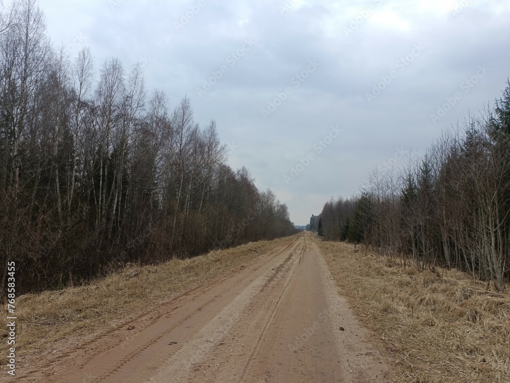 Road in forest in Siauliai county during cloudy early spring day. Oak and birch tree woodland. cloudy day with white clouds in blue sky. Bushes are growing in woods. Sandy road. Nature. Miskas. Road in forest in Siauliai county during cloudy early spring day. Oak and birch tree woodland. cloudy day with white clouds in blue sky. Bushes are growing in woods. Sandy road. Nature. Miskas.