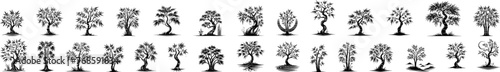 vector silhouette of tree on white background in black vector laser cutting engraving