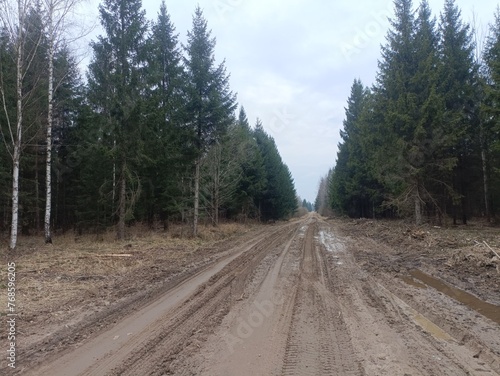 Road in forest in Siauliai county during cloudy early spring day. Oak and birch tree woodland. cloudy day with white clouds in blue sky. Bushes are growing in woods. Sandy road. Nature. Miskas. 