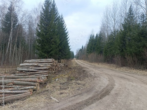 Road in forest in Siauliai county during cloudy early spring day. Oak and birch tree woodland. cloudy day with white clouds in blue sky. Bushes are growing in woods. Sandy road. Nature. Miskas. 