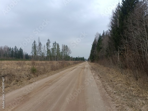 Road in forest in Siauliai county during cloudy early spring day. Oak and birch tree woodland. cloudy day with white clouds in blue sky. Bushes are growing in woods. Sandy road. Nature. Miskas. 