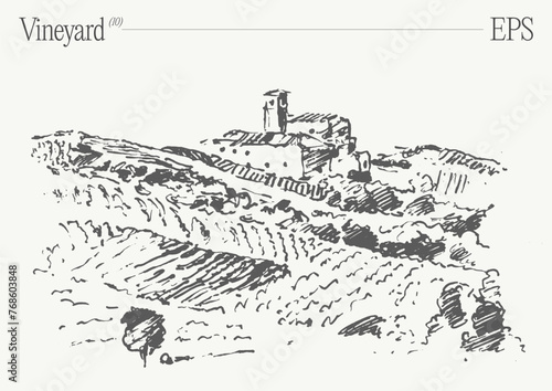 Vineyard Landscape. Vintage wine Label Background. Hand drawn vector illustration, sketch.