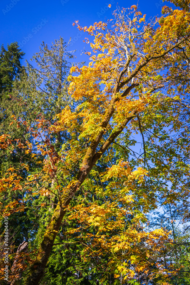 Bainbridge Island Japanese American Exclusion Memorial Bainbridge Island Japanese American Exclusion Memorial