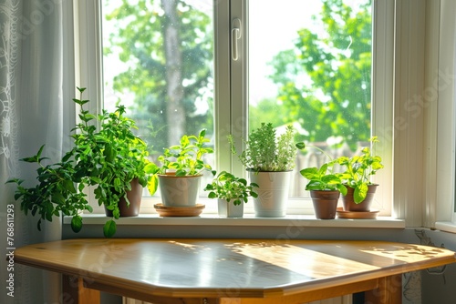 corner table with a panoramic window and herb pots