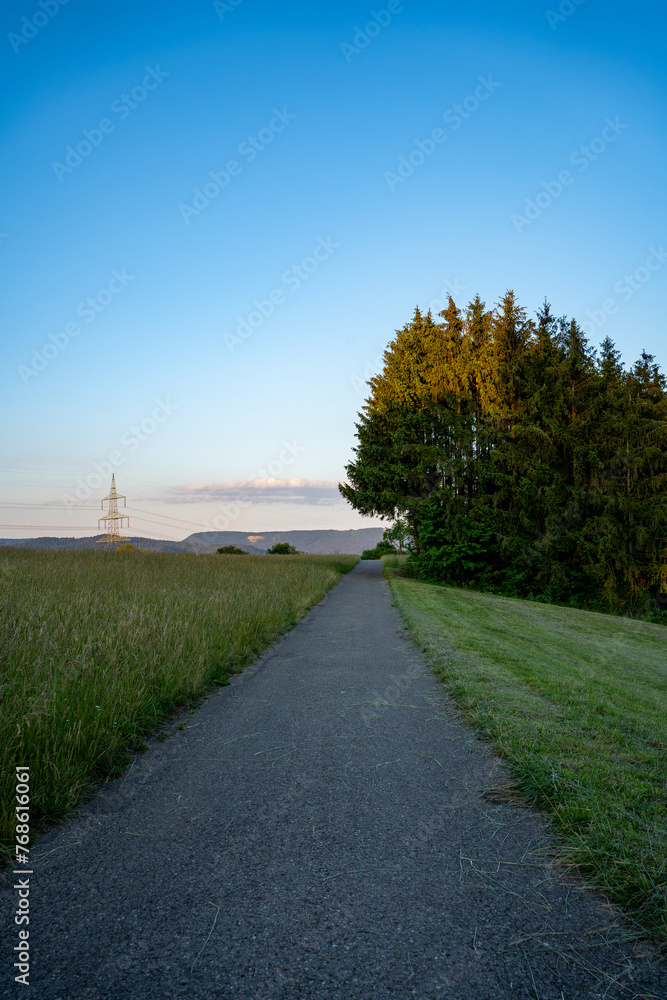 a path cut into nature