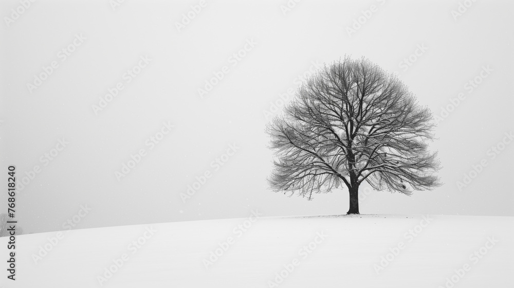 Discover the beauty of a solitary tree amidst a snow-covered landscape, its branches adorned with snow, atop a serene snowy hill. Discover the beauty of a solitary tree amidst a snow-covered landscape, its branches adorned with snow, atop a serene snowy hill.