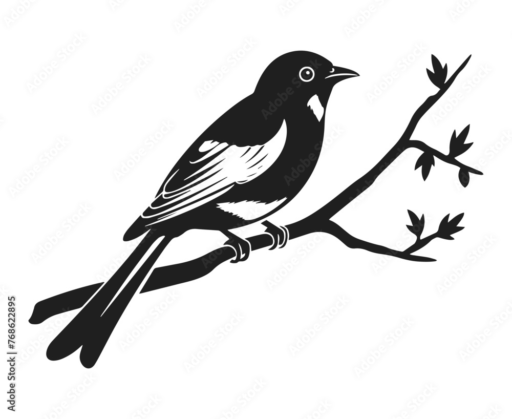 Obraz premium Bird on branch vector illustration. Small sparrow sitting on tree hand drawn black on white background. Spring nature decorative silhouette.