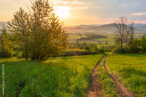 Sunrise in a spring field with green grass  a path with tire marks  the sun comes out from behind the tree leaving deep shadows. Mountains in the background.