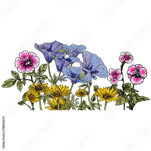 minimalist wildflowers vector hand drawing style  (ID: 768636276)