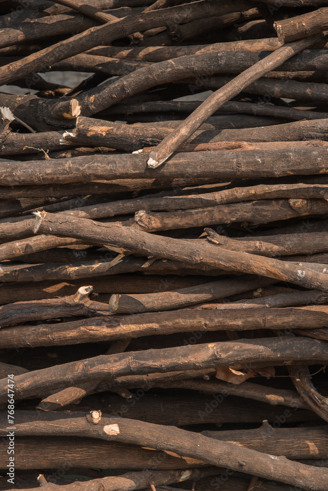 Close up wood cut tree trunk texture background Close up wood cut tree trunk texture background