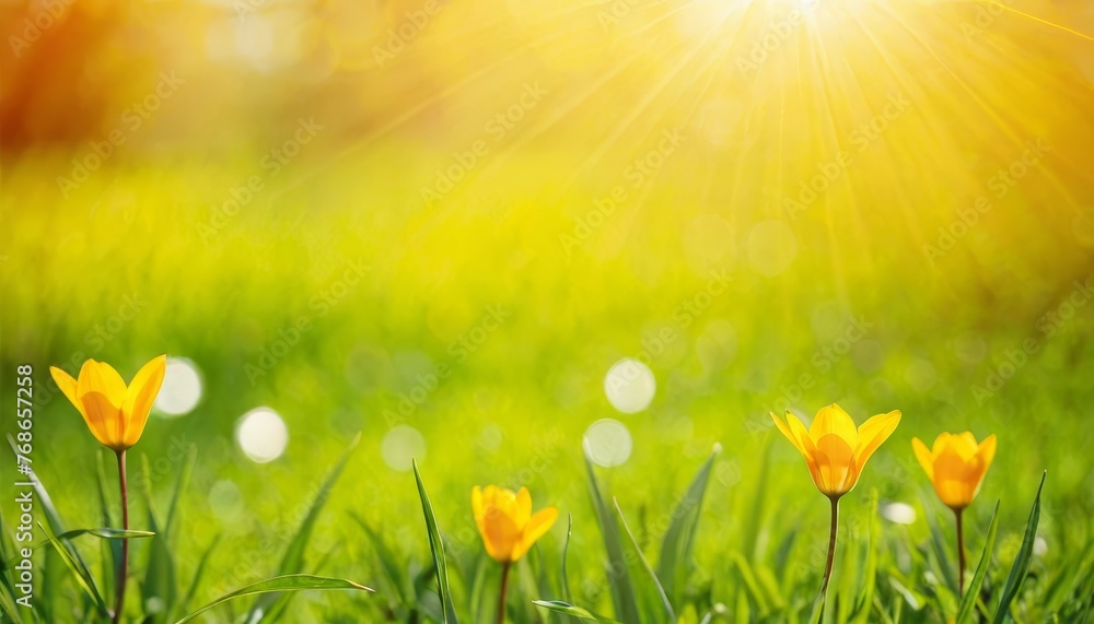 abstract spring background with bokeh abstract spring background with bokeh