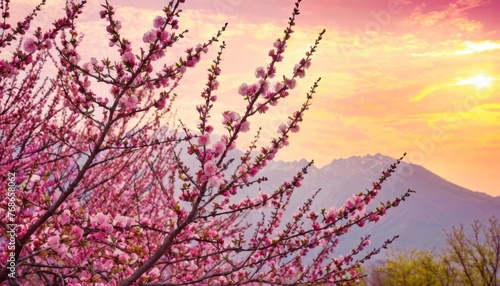 background art with pink blossom. Beautiful nature scene with blooming tree © SANTANU PATRA