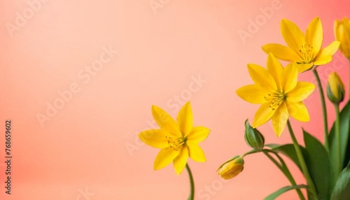 beautiful spring flowers on paper background