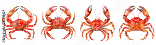 Watercolor crab set. 