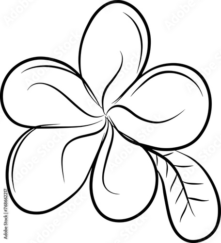 Hand drawing line of frangipani flower design vector graphic illustration