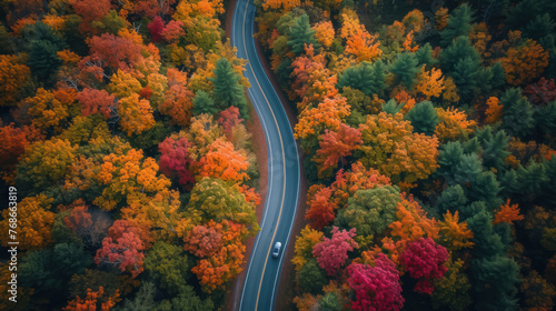 Autumn's full splendor on display with a winding road through a multicolored forest canopy © DJSPIDA FOTO