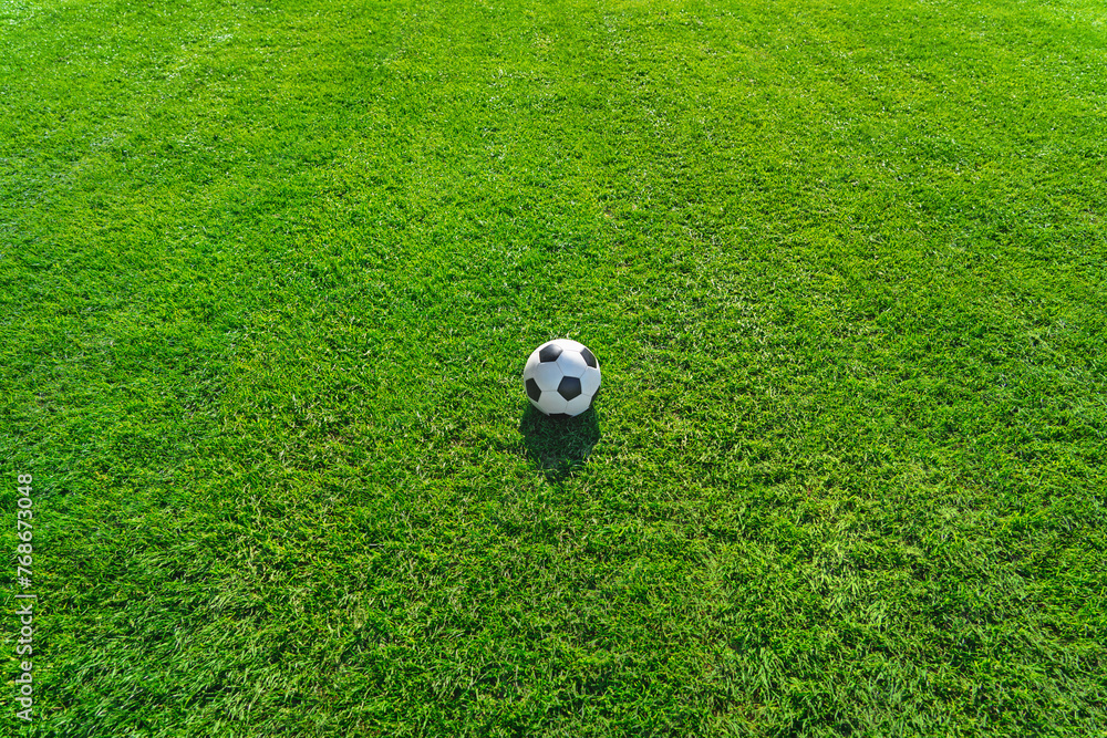 green grass texture with a soccer ball - well-groomed turf in the soccer stadium green grass texture with a soccer ball - well-groomed turf in the soccer stadium