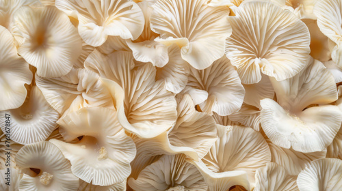 An organic and natural background texture is created by the intricate patterns of oyster mushrooms' fungus.