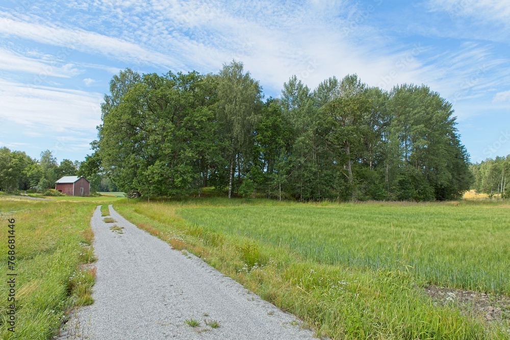 Gravel road to Offerlund sacrificial grove in summer, Raasepori, Finland.